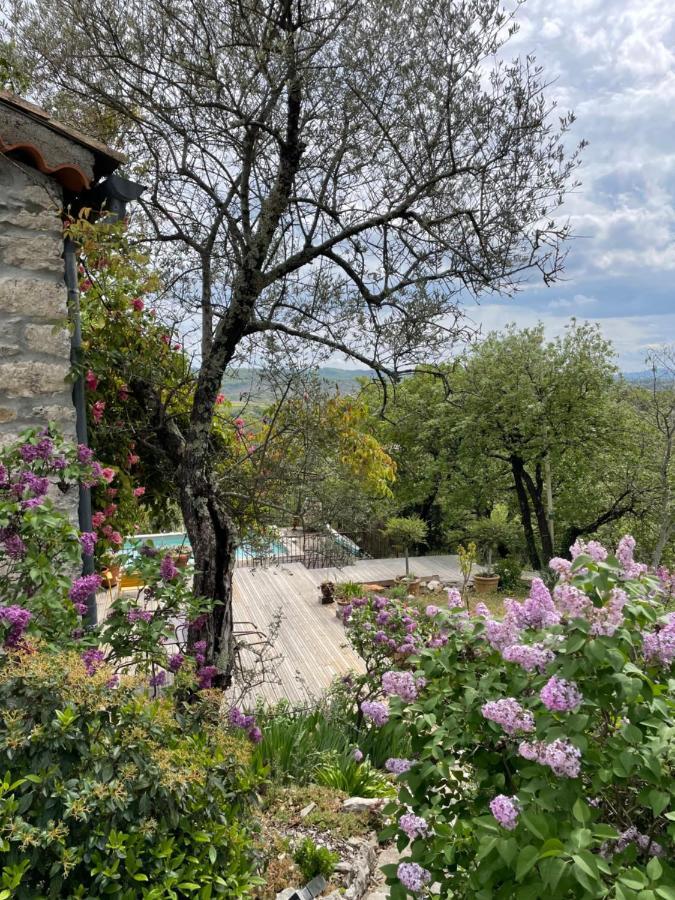 Le Petit Mas Bed & Breakfast Vogue Luaran gambar